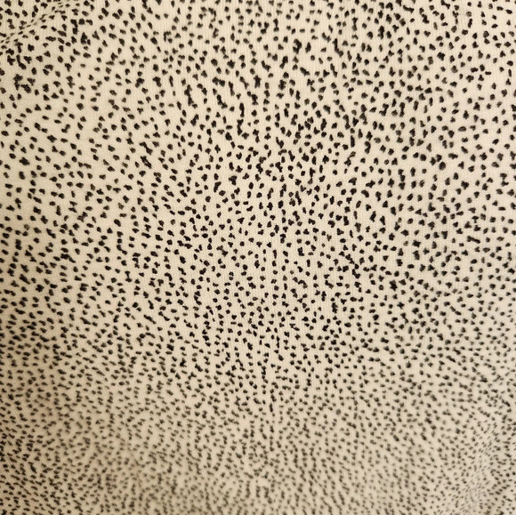 H&M animal print t shirt size small - Picture 2 of 11